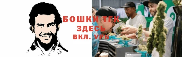 ГАЛЛЮЦИНОГЕННЫЕ ГРИБЫ Абдулино